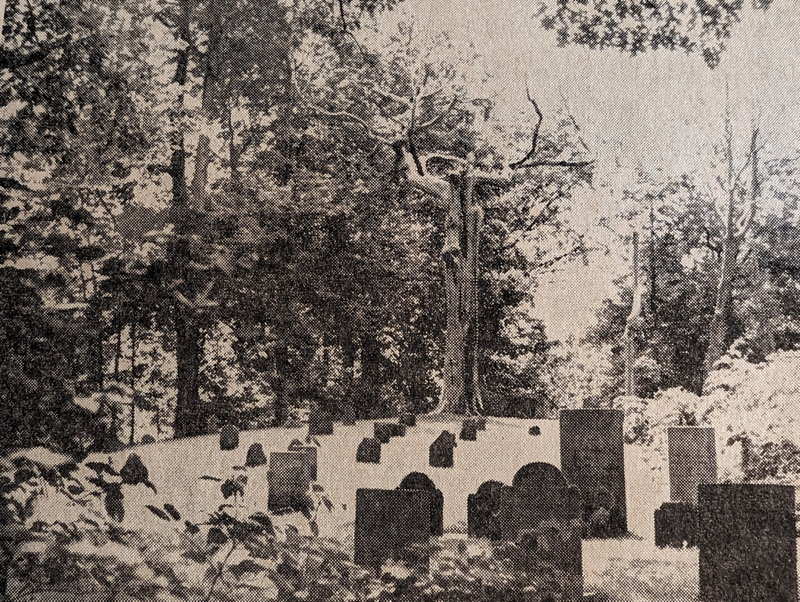 Ye Old Eddy Cemetery - winter 1978