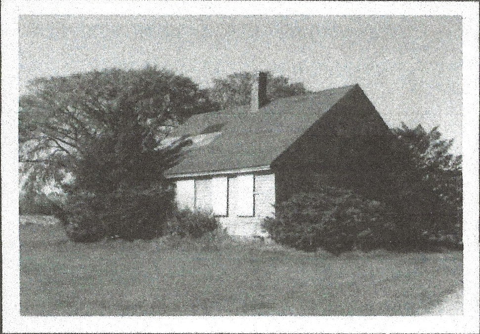 The Swansea House